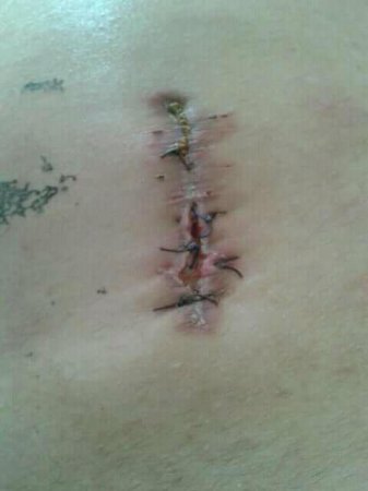 İcra başçısı Aprel döyüşlərinin əfsanəsi Asif Rəsulovu qəbul etdi-FOTO