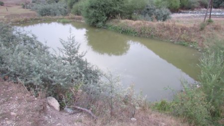 Bu Nazirlik cəngəllik qanunları ilə idarə olunur - VİDEO//FOTO