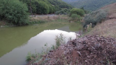 Bu Nazirlik cəngəllik qanunları ilə idarə olunur - VİDEO//FOTO
